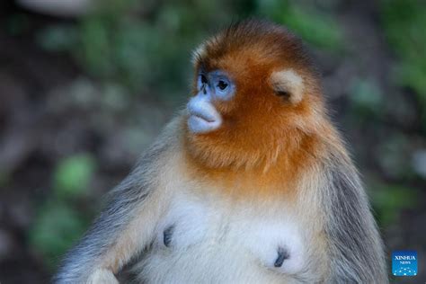 玉合公園怎麼樣？深度探索其獨特魅力